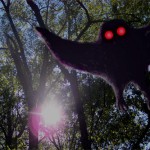 Παιχνίδι του φακού, έντομο ή ο… Mothman;