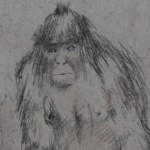 Ινστιτούτο μελέτης στη Ρωσία για τον… Bigfoot