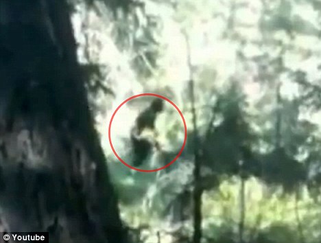 Bigfoot, φάρσα ή κάτι άλλο; (video)