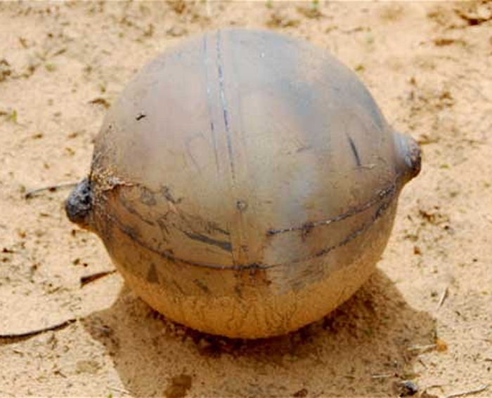 Μυστηριώδης μεταλλική σφαίρα έπεσε «από το διάστημα» στη Ναμίμπια