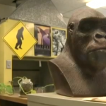 Νέα εμφάνιση του Bigfoot στις Η.Π.Α.; (video)